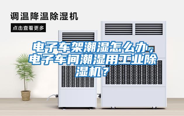 電子車架潮濕怎么辦，電子車間潮濕用工業除濕機？