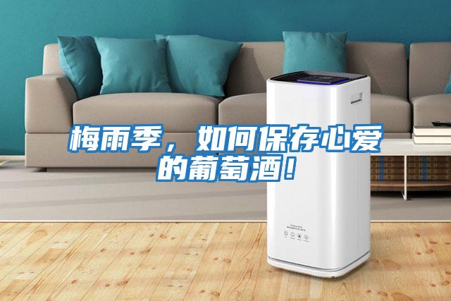 梅雨季，如何保存心愛的葡萄酒！