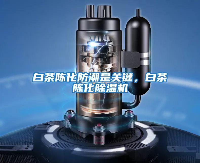 白茶陳化防潮是關鍵，白茶陳化除濕機