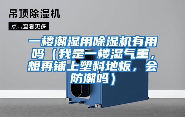 一樓潮濕用除濕機有用嗎（我是一樓濕氣重，想再鋪上塑料地板，會防潮嗎）