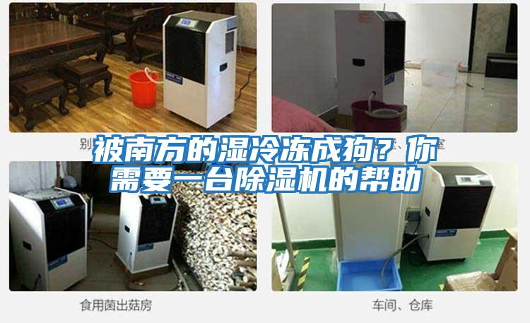 被南方的濕冷凍成狗？你需要一臺除濕機的幫助