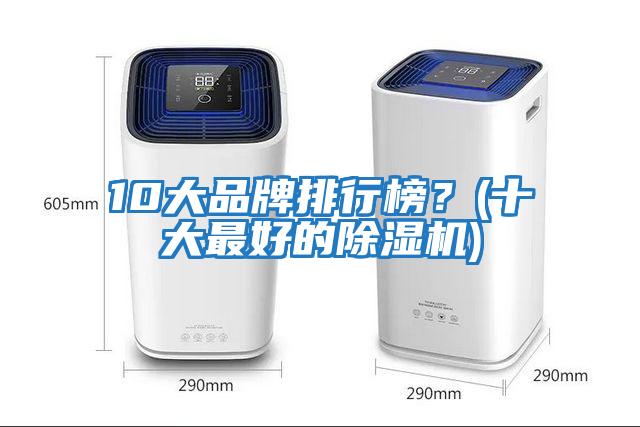 10大品牌排行榜？(十大最好的除濕機(jī))