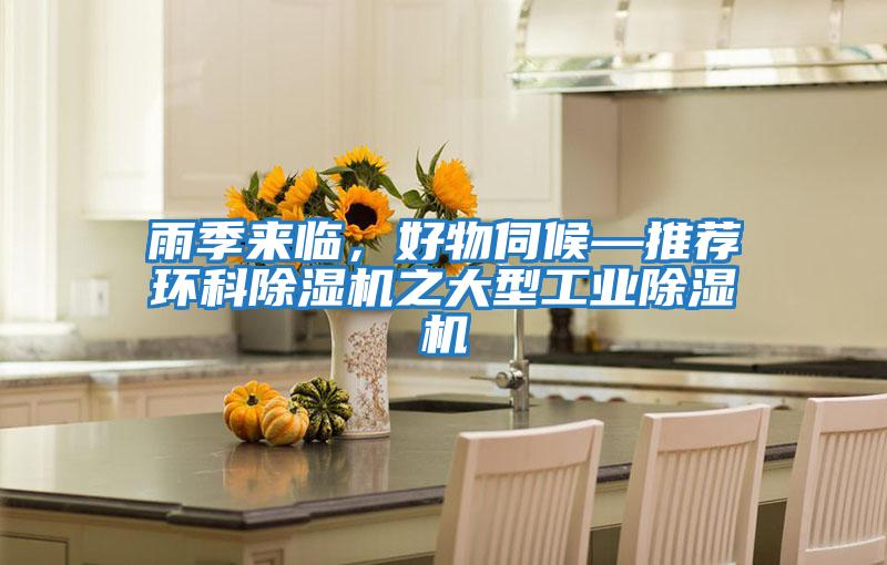 雨季來臨，好物伺候—推薦環(huán)科除濕機(jī)之大型工業(yè)除濕機(jī)
