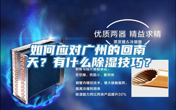 如何應對廣州的回南天?有什么除濕技巧?