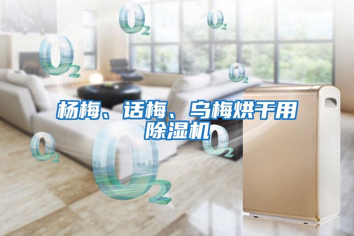 楊梅、話梅、烏梅烘干用除濕機(jī)