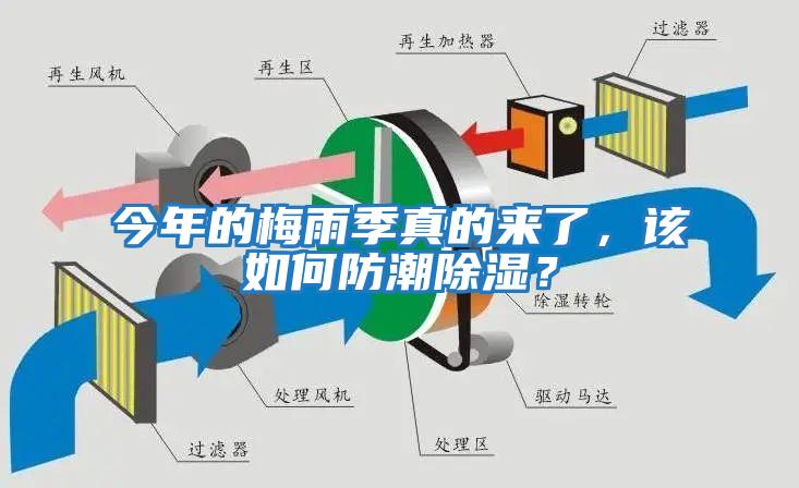 今年的梅雨季真的來(lái)了，該如何防潮除濕？