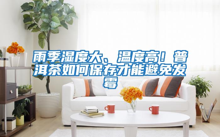 雨季濕度大、溫度高！普洱茶如何保存才能避免發(fā)霉