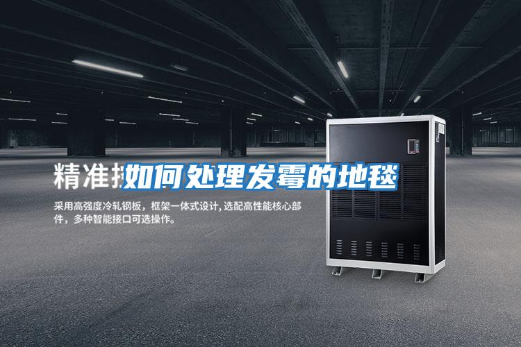 如何處理發霉的地毯