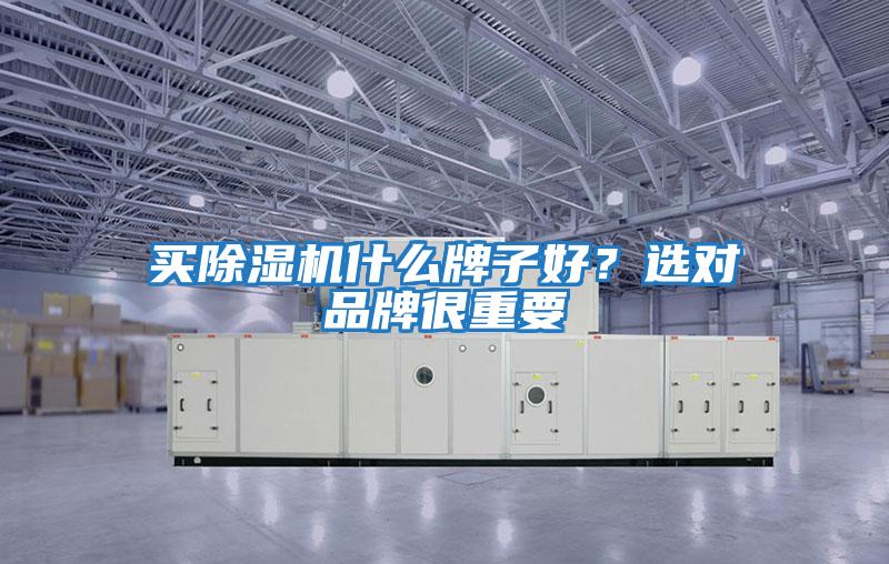 買除濕機什么牌子好？選對品牌很重要