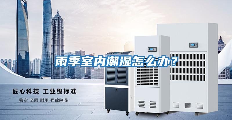 雨季室內(nèi)潮濕怎么辦?