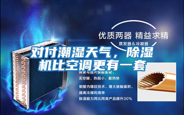 對付潮濕天氣,除濕機(jī)比空調(diào)更有一套