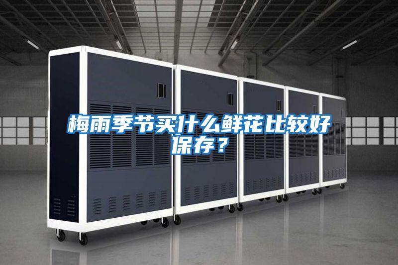 梅雨季節(jié)買什么鮮花比較好保存？