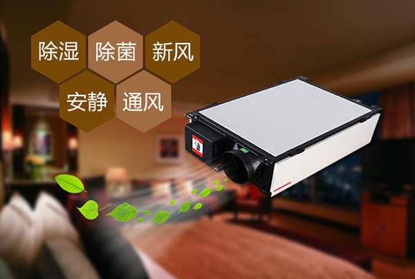 解決地下室的潮濕問題，除濕機可以解決且效果非常好