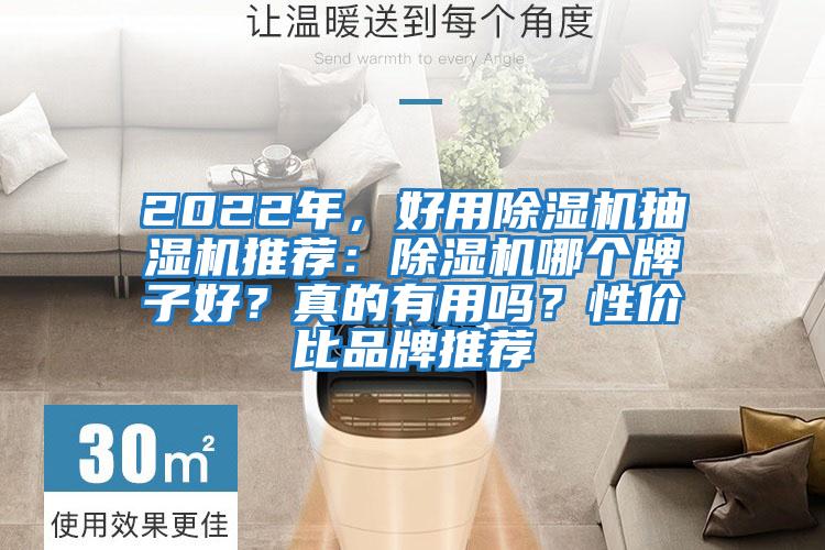 2022年，好用除濕機(jī)抽濕機(jī)推薦：除濕機(jī)哪個(gè)牌子好？真的有用嗎？性價(jià)比品牌推薦