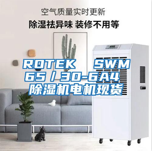 ROTEK SWM65/30-6A4 除濕機(jī)電機(jī)現(xiàn)貨