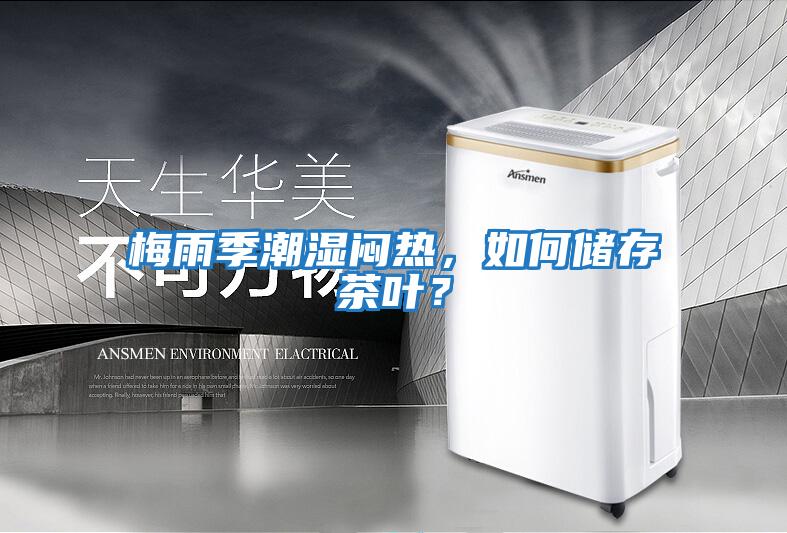梅雨季潮濕悶熱，如何儲存茶葉？