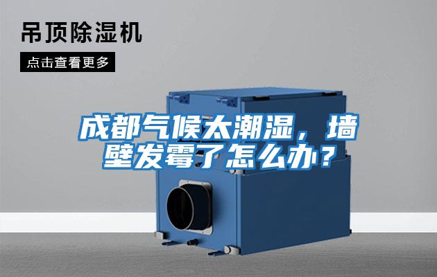 成都氣候太潮濕，墻壁發(fā)霉了怎么辦？