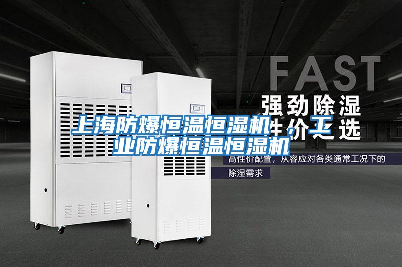 上海防爆恒溫恒濕機 ，工業防爆恒溫恒濕機