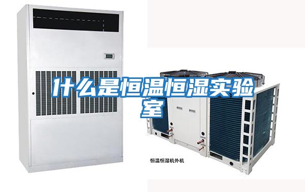 什么是恒溫恒濕實(shí)驗室