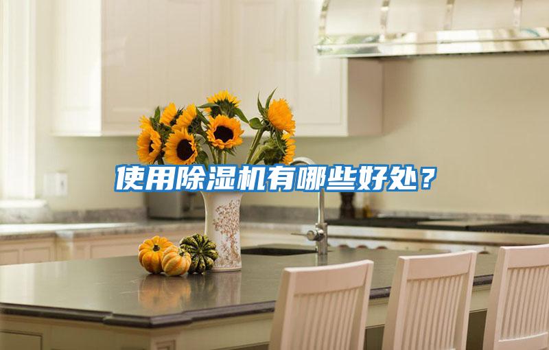 使用除濕機有哪些好處?