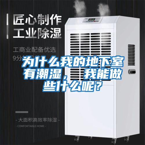 為什么我的地下室有潮濕， 我能做些什么呢？
