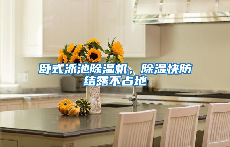 臥式泳池除濕機，除濕快防結露不占地