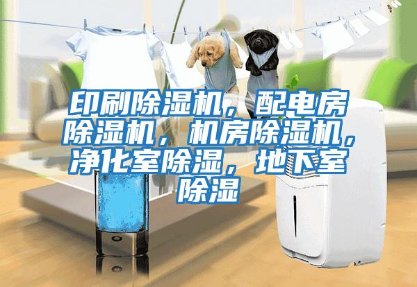 印刷除濕機，配電房除濕機，機房除濕機，凈化室除濕，地下室除濕