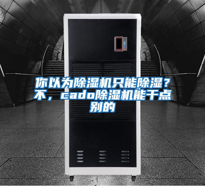 你以為除濕機只能除濕？不，cado除濕機能干點別的