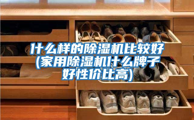 什么樣的除濕機(jī)比較好(家用除濕機(jī)什么牌子好性?xún)r(jià)比高)