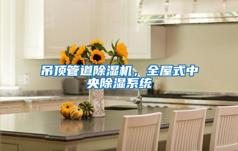 吊頂管道除濕機(jī)，全屋式中央除濕系統(tǒng)
