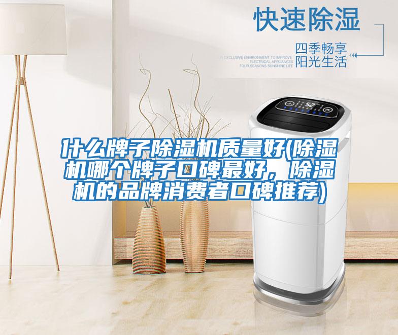 什么牌子除濕機質(zhì)量好(除濕機哪個牌子口碑最好，除濕機的品牌消費者口碑推薦)