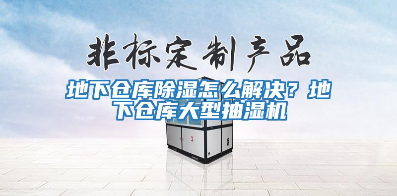 地下倉庫除濕怎么解決？地下倉庫大型抽濕機(jī)