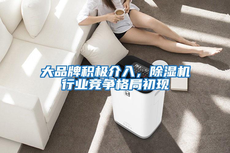 大品牌積極介入，除濕機行業(yè)競爭格局初現(xiàn)