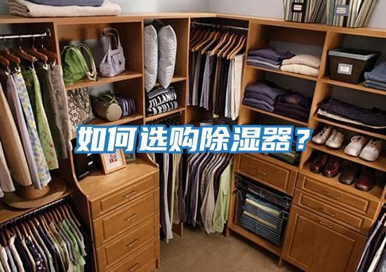 如何選購除濕器？