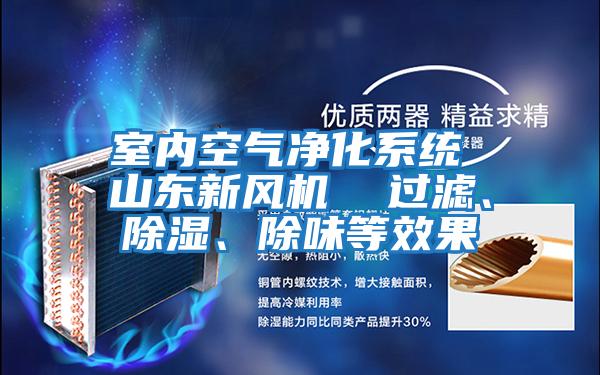 室內空氣凈化系統(tǒng) 山東新風機  過濾、除濕、除味等效果