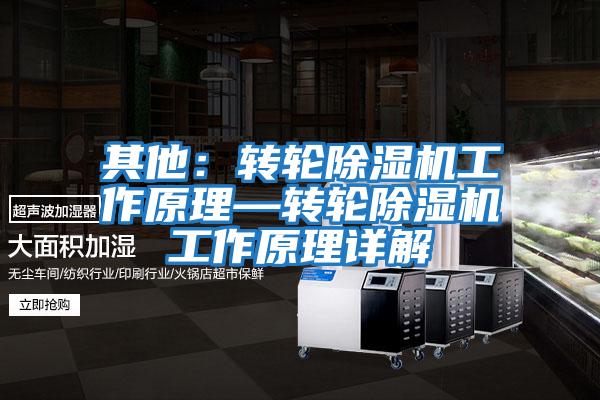 其他:轉輪除濕機工作原理—轉輪除濕機工作原理詳解