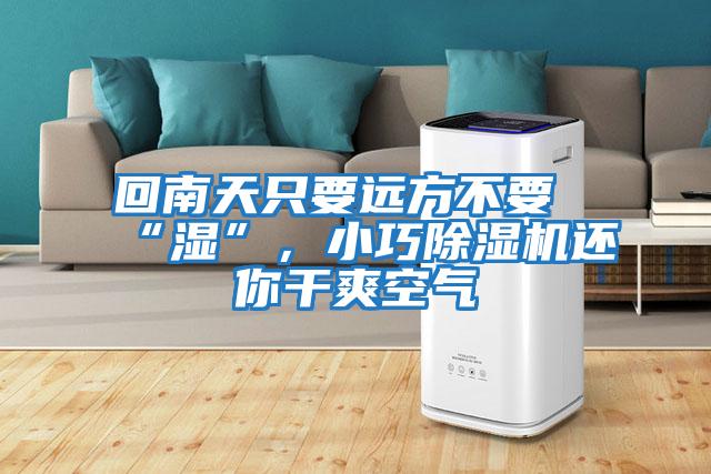 回南天只要遠方不要“濕”，小巧除濕機還你干爽空氣