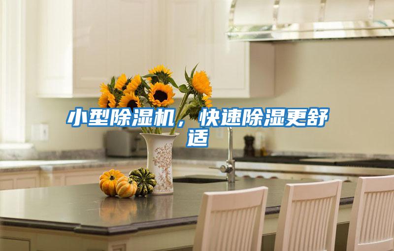 小型除濕機，快速除濕更舒適