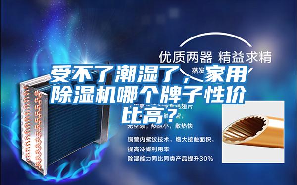 受不了潮濕了，家用除濕機哪個牌子性價比高？