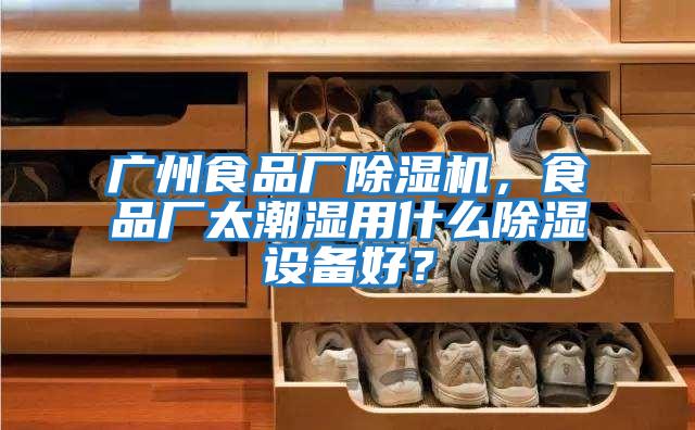廣州食品廠除濕機,食品廠太潮濕用什么除濕設(shè)備好?