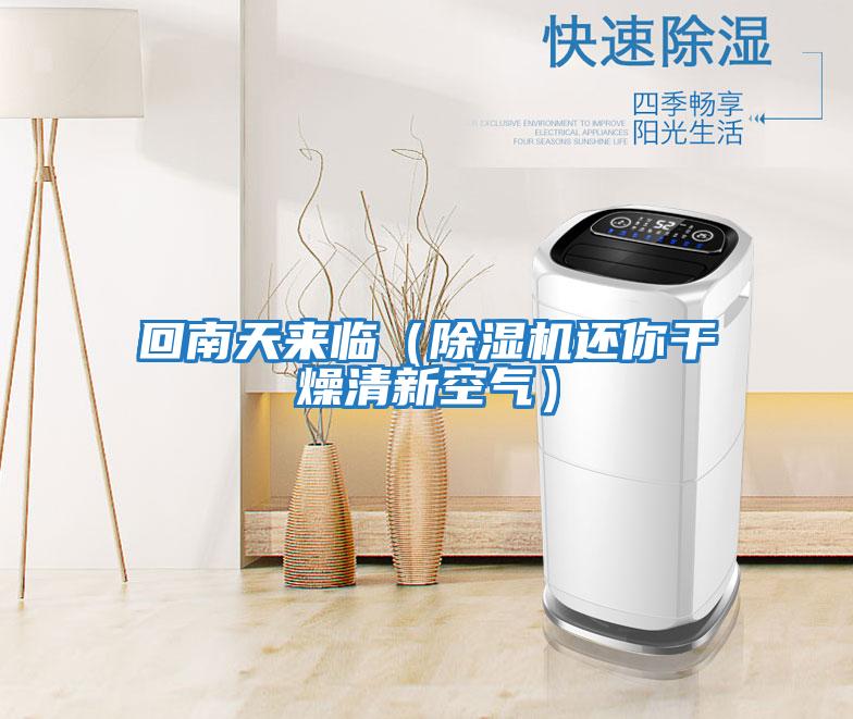 回南天來臨(除濕機(jī)還你干燥清新空氣)