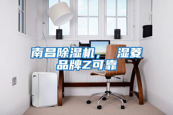 南昌除濕機， 濕菱品牌Z可靠