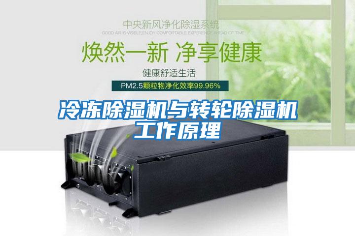 冷凍除濕機與轉輪除濕機工作原理