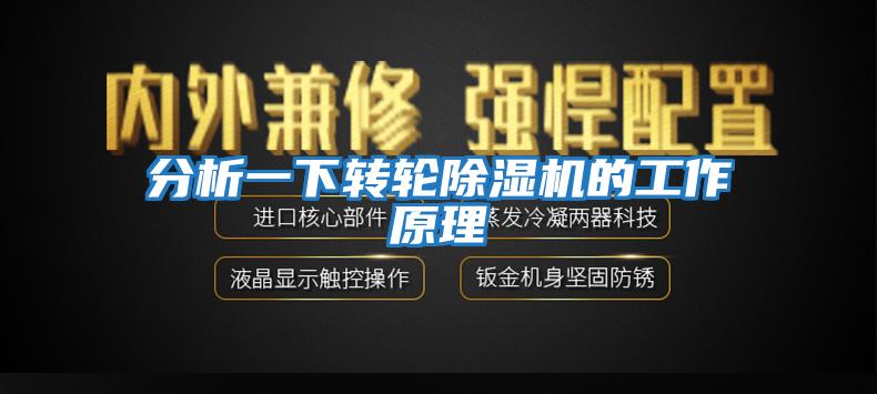 分析一下轉輪除濕機的工作原理