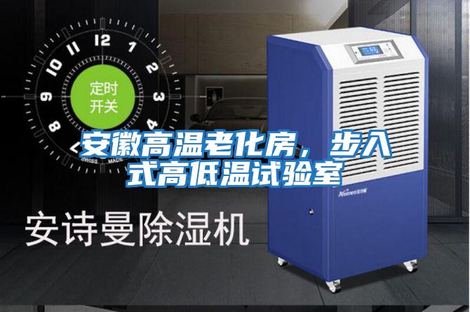 安徽高溫老化房，步入式高低溫試驗室