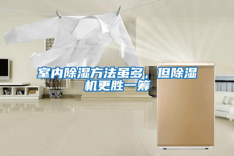 室內(nèi)除濕方法雖多，但除濕機更勝一籌