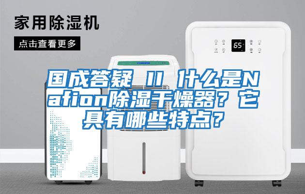 國成答疑 II 什么是Nafion除濕干燥器？它具有哪些特點(diǎn)？
