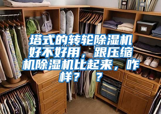 塔式的轉輪除濕機好不好用，跟壓縮機除濕機比起來，咋樣？ ？