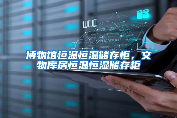 博物館恒溫恒濕儲存柜,文物庫房恒溫恒濕儲存柜