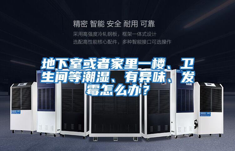 地下室或者家里一樓、衛生間等潮濕、有異味、發霉怎么辦？